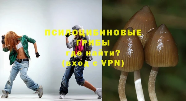 хмурый Алзамай