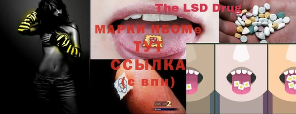 хмурый Алзамай