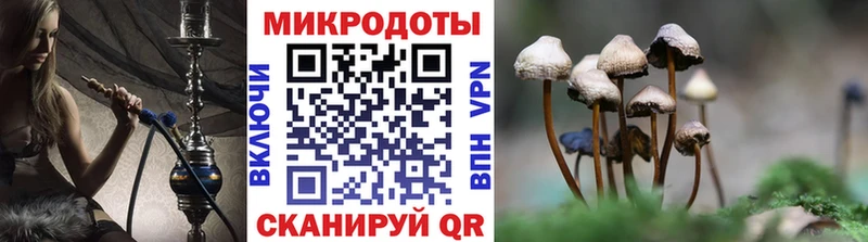 Галлюциногенные грибы Magic Shrooms  купить наркотик  Шагонар 
